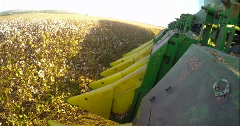 POV shot of a cotton picker working in a field Stock Footage 68708656