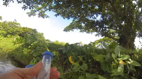 POV shot of field biologist sampling live damselflies Stock-Footage 119423015