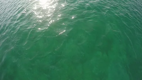 POV shot man does a somersault jumps in the Sea and swims under the water Stock Footage 73797009