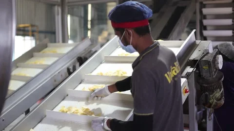 Pov shot men ejecting bad chips from conveyor 動画素材 264476828