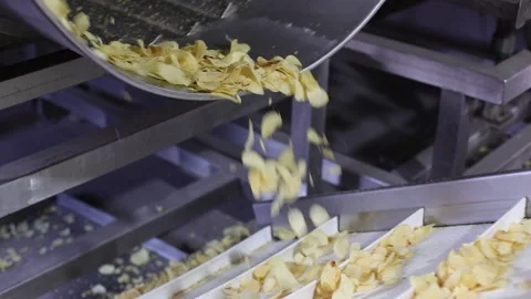 Pov shot men ejecting bad chips from conveyor 動画素材 264476838