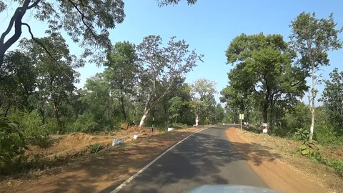 Pov shot of a road between forest  Stock Footage 107478411