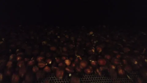 Pov shot of roasted peanuts pouring from an industrial machine. The automated Stock Footage 338158260