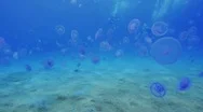 Pov Shot Of A Scuba Diver Swimming Through A Swarm Of Jellyfish. Stock Footage