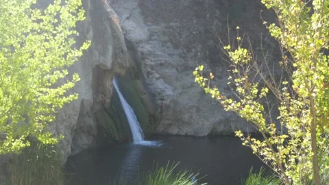 POV Shot of the Side of a Waterfall through Two Yellow Bushes, with Audio Stock Footage 217493617
