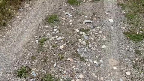 Pov shot of someone walking along a rough, unpaved country road. The path Stock Footage 337225815