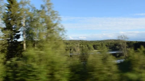 Pov shot through side window of a car driving past a glassy forest lake Stock Footage 118894581