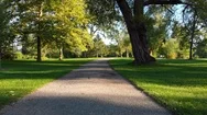 Pov Shot, Walking On Footpath At An Empty Park, Social Distancing Concept Stock Footage