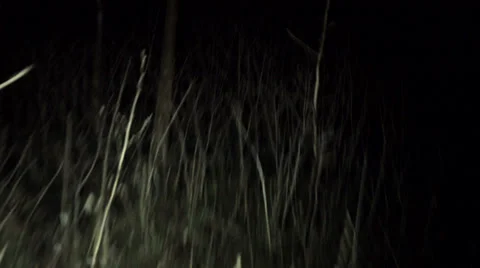 POV shot walking/running through dark spooky forest at night Stock Footage