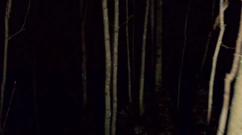 POV shot walking/running through dark spooky forest at night Video stock 37909678