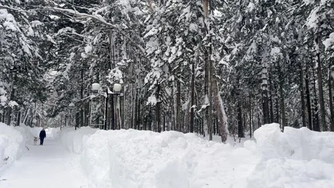 POV shot while walking on a narrow path covered with white snow surrounded by Stock Footage 263280628