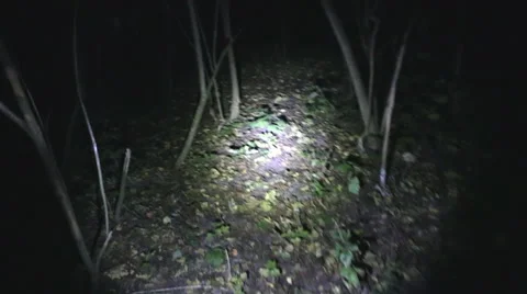 POV shot as you walk through a spooky scary forest at night, passing by bare Stock Footage