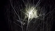 Pov Shot As You Walk Through A Spooky Scary Forest At Night. Stock Footage