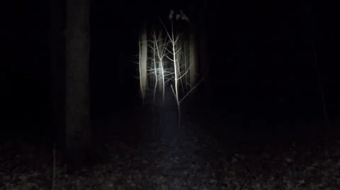 POV shot as you walk through a spooky scary forest at night. Stock Footage 58570894