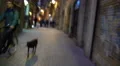 POV of sick, drunk or high person walking in dangerous city district at night 4k or 4k+ Resolution