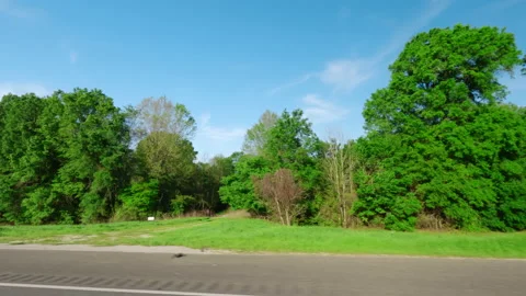 Pov side point of view of driving in car vehicle road trip with forest Stock Footage 238851777