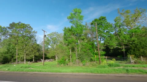 Pov side point of view of driving in car vehicle road trip with forest on sunny Stock Footage 239018666