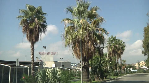 POV, side view, Driving, Palm Trees. Video stock 32188659