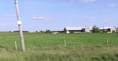 POV side view driving through farms and farmland of Ontario Canada Stock-Footage 79362593