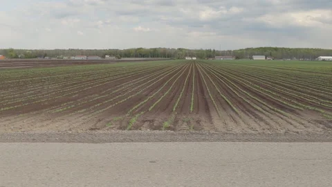 POV side view rich soil and farmland in the Holland marsh of Ontario Vidéo 154330849