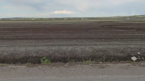 POV side view rich soil and farmland in the Holland marsh of Ontario Stock Footage 154331850