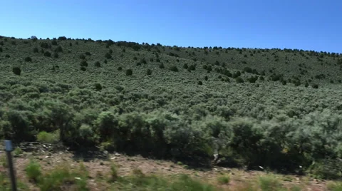 POV-Side window view climbing past sage and cedar hills Video stock 64624237