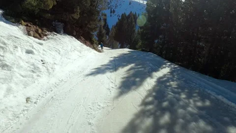 POV skier going down a slope between a forest in a ski resort Stock Footage 221690571