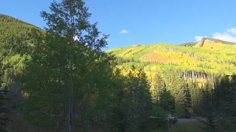 Pov slow motion driving Castle Creek road in autumn, Aspen Colorado Stock Footage 138132003