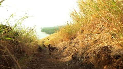 POV Slow Motion Hiking Down Trail Stock Footage 59021063