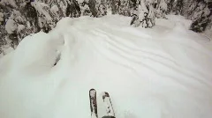 POV Slow Motion Tree skiing powder Stock Footage