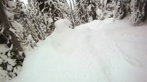 POV Slow Motion Tree skiing powder 库存影片 706516