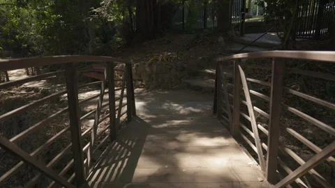 POV of the Small Bridge at a Park Stock Footage 319350876