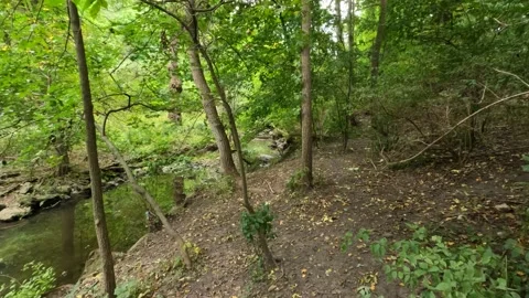 POV of a small bubbling creek spring creek in toronto high park Stock Footage 212775073