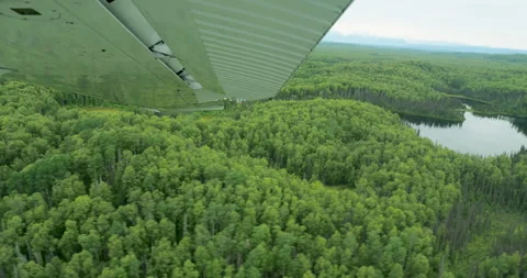 POV Small floatplane flying low above lake and forest in Alaska Stock Footage 317868967