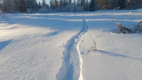 POV Snowshoeing Through Deep Snow Toward Camera on Tripod in Winter Wilderness Stock Footage 331683841
