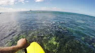Pov Stand Up Paddling Over Coral Reef In Hawaii. Stock Footage