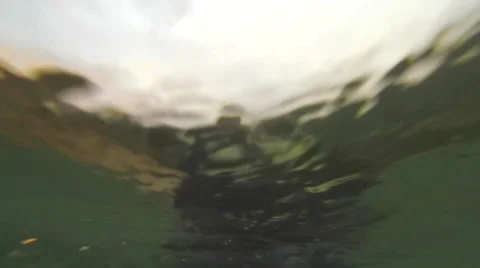 POV of a surfer paddling while surfing to catch a wave. Stock Footage 68023805