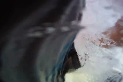 POV: Surfing Stock Footage 840104