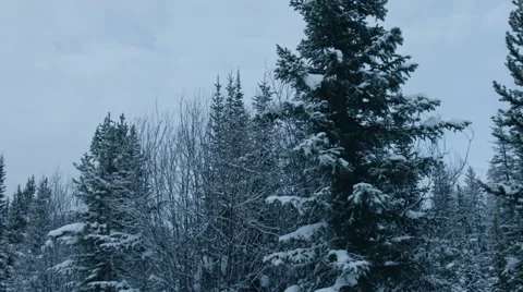 POV through Desolate Snowy Road 스톡 동영상 61021627