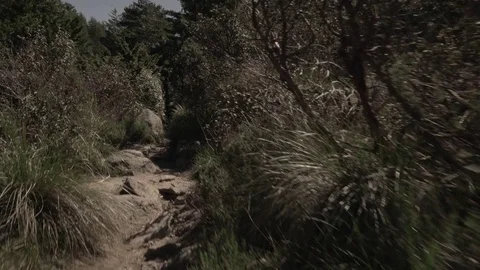  POV through the grasslands Stock Footage 75028735