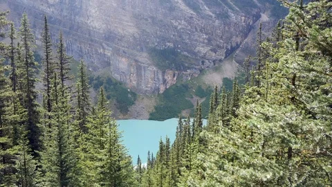 POV through pine tree forest to Lake Louise, a glacially-fed lake in Banff Stock Footage 120019204