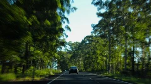 POV Time Lapse Driving on Highway Through Green Countryside in New South Wales A Stock Footage 341695960