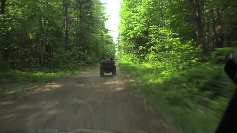 POV Tracking Shot of an ATV Driving Down a Lush Forest Dirt Road Video stock 345166530