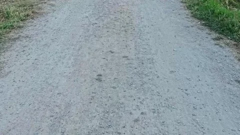 POV tracking shot moving forward along a rural dirt and gravel road.  Video stock 333100938