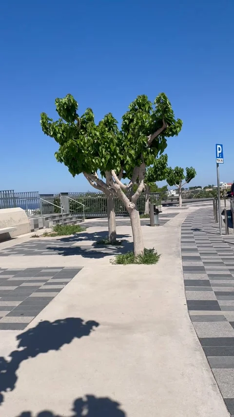 POV tracking shot walking forward on a white and gray tiled pedestrian path Stock Footage 336278360