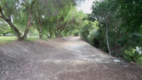 POV Trail Walking and Trees Stock Footage 238748627