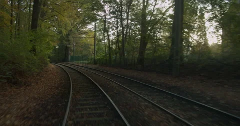 POV of the tram in reverse through the forests of the city of Rostock Stock Footage 229430988
