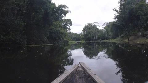 POV Travel On A Bot In Amazon River Stock Footage 127843728