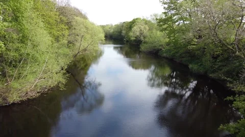 Pov Tree Lined River Tees With Reflections on Water Croft on Tees Stock Footage 194505306