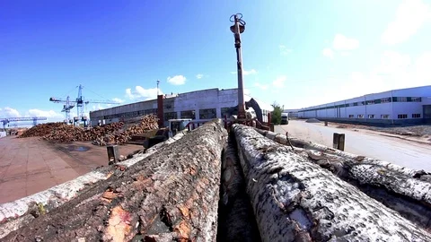 POV Truck heavy loaded with tree trunks Stock Footage 70690953